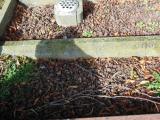 image of grave number 583217